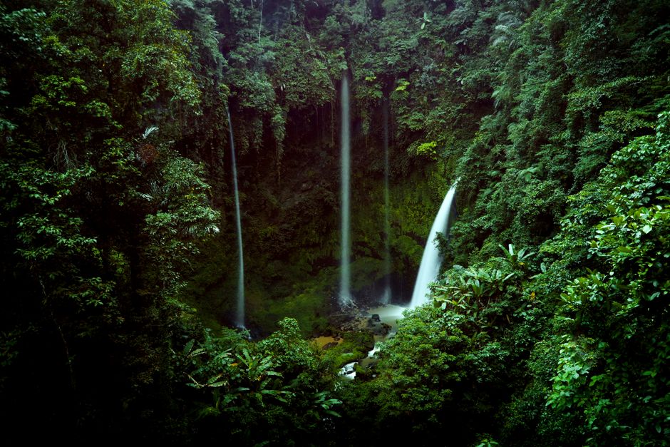 Beautiful waterfalls cascading in a dense forest setting in North Sulawesi, Indonesia.