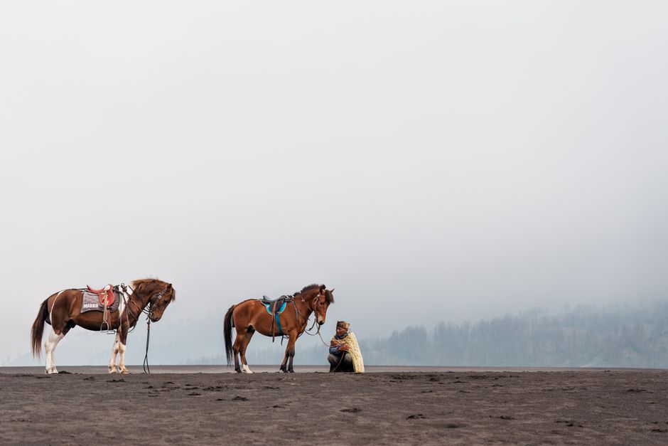 Horseman with two horses on the misty plains of Mount Bromo, East Java, Indonesia.